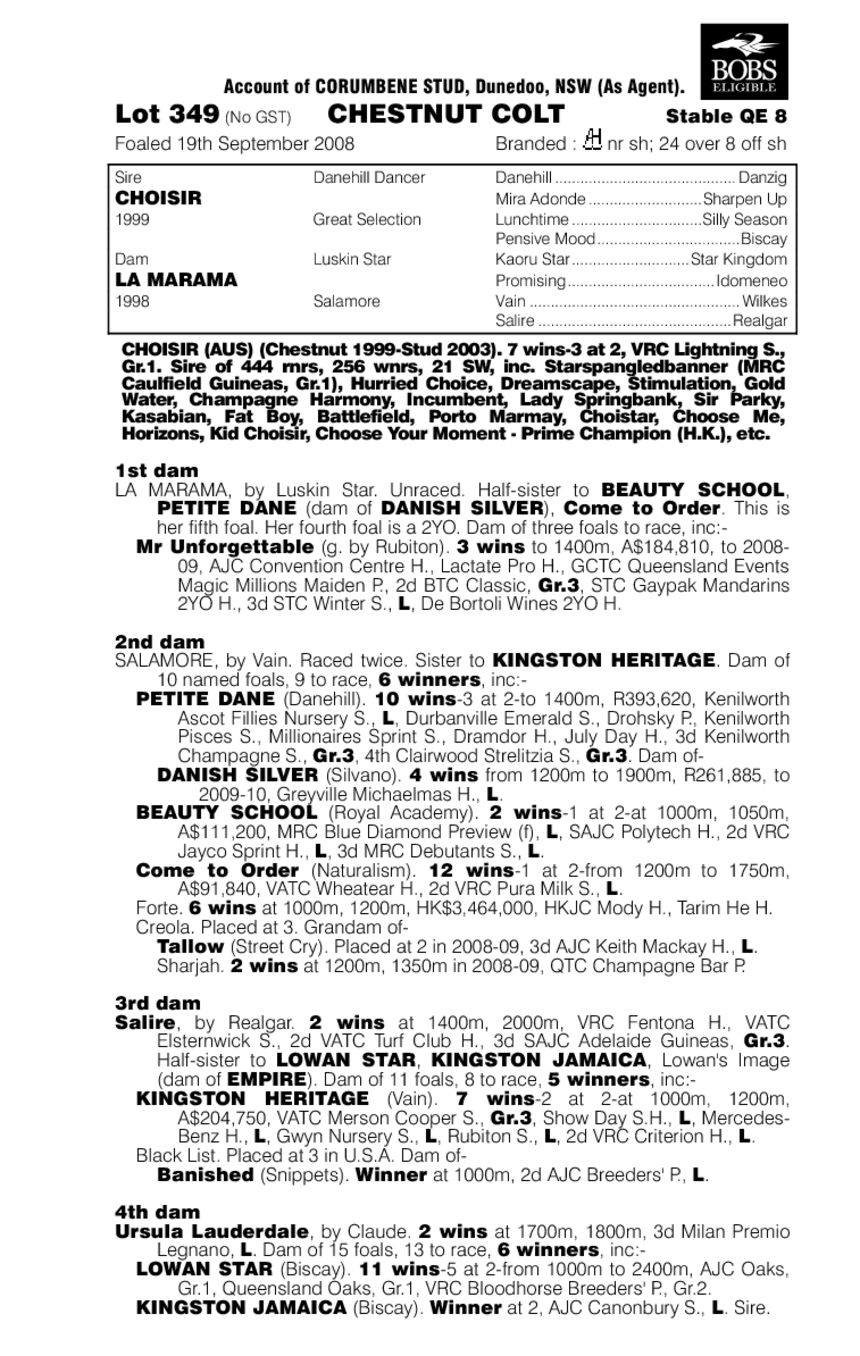 Charmarama - pedigree