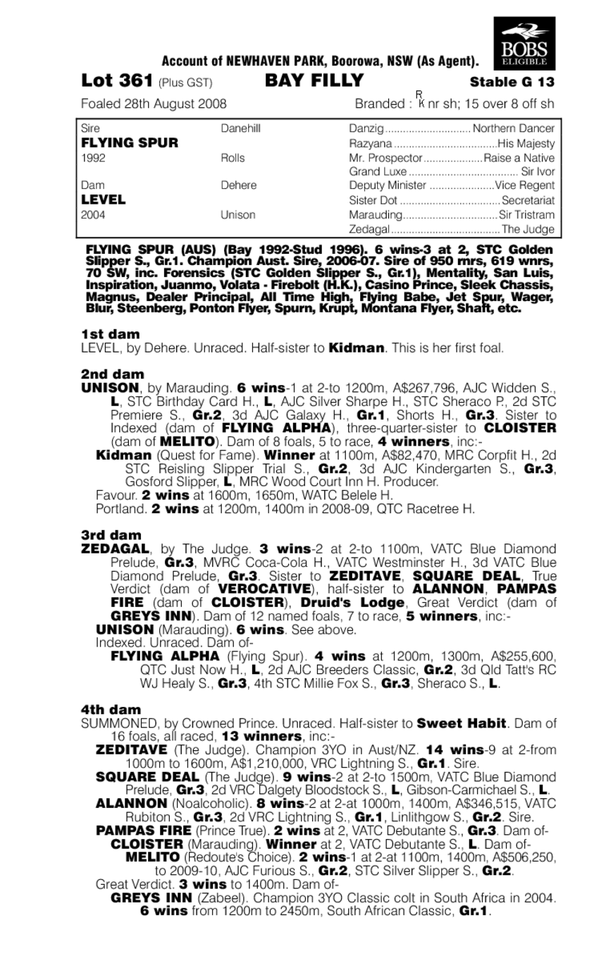 Seven Fly Seven - pedigree