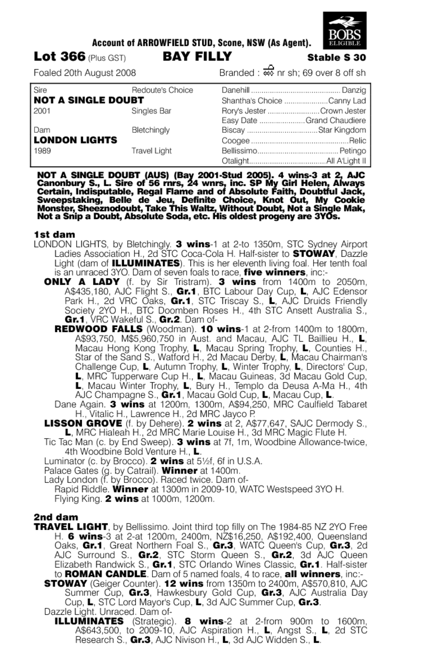 Miss Doubtfire - pedigree