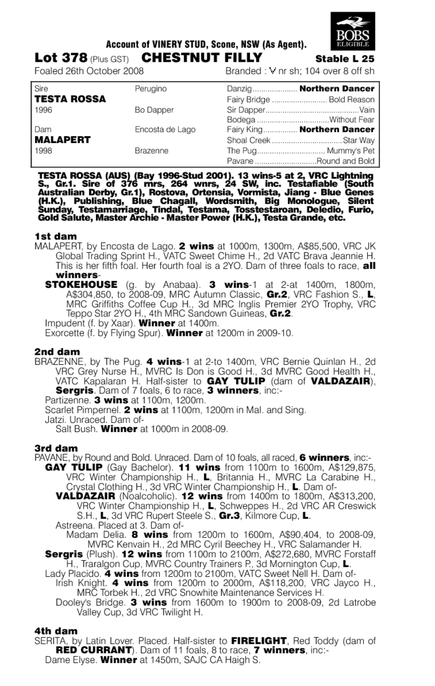 Rossa Mia - pedigree