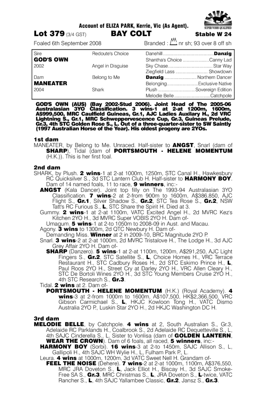 Man Of Money - pedigree