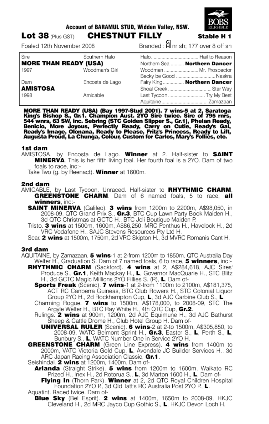 Miss Ready - pedigree