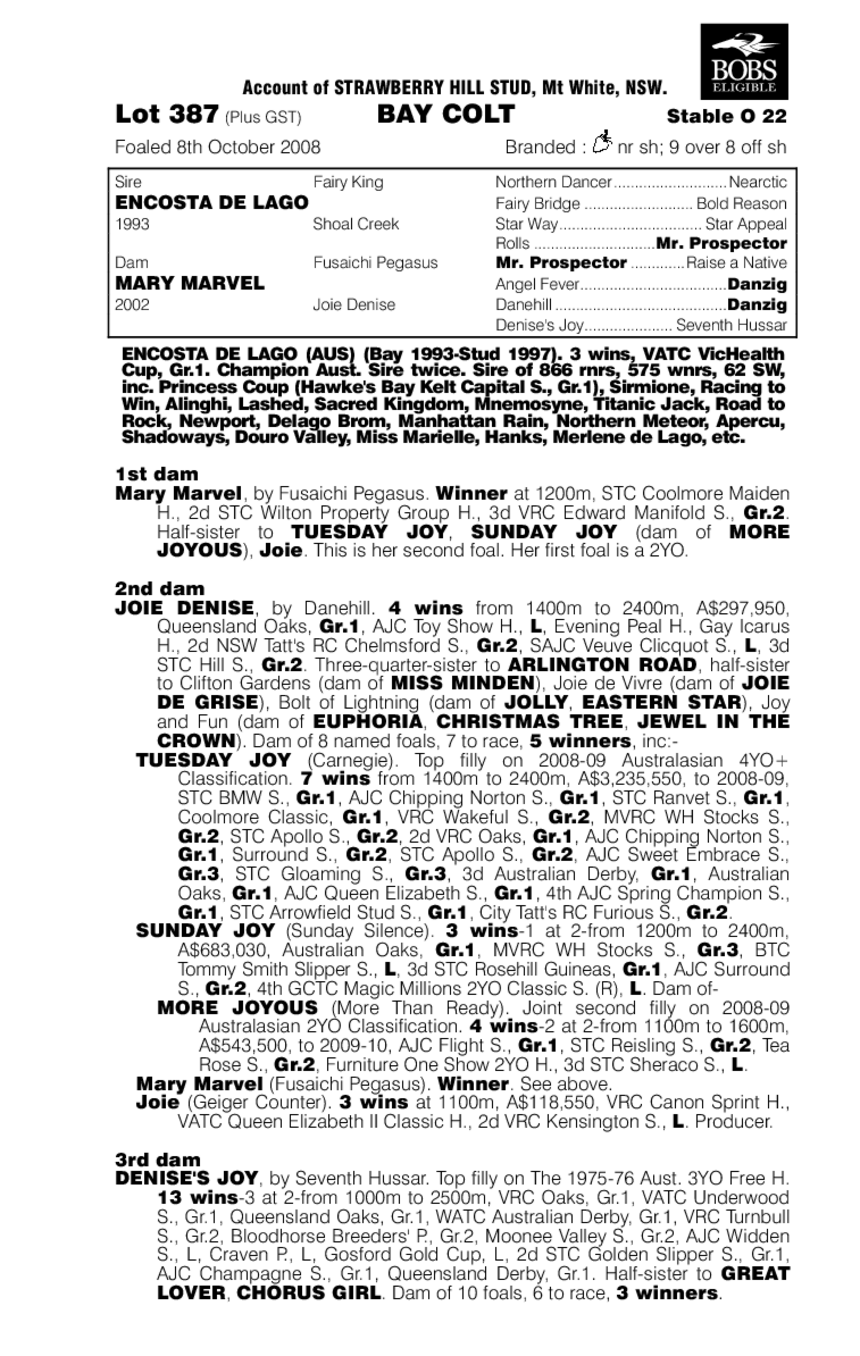 Wailea Bay - pedigree