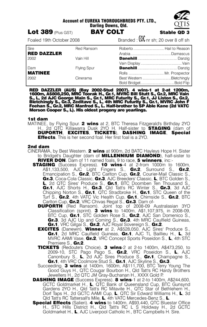 Daytime Dazzler - pedigree