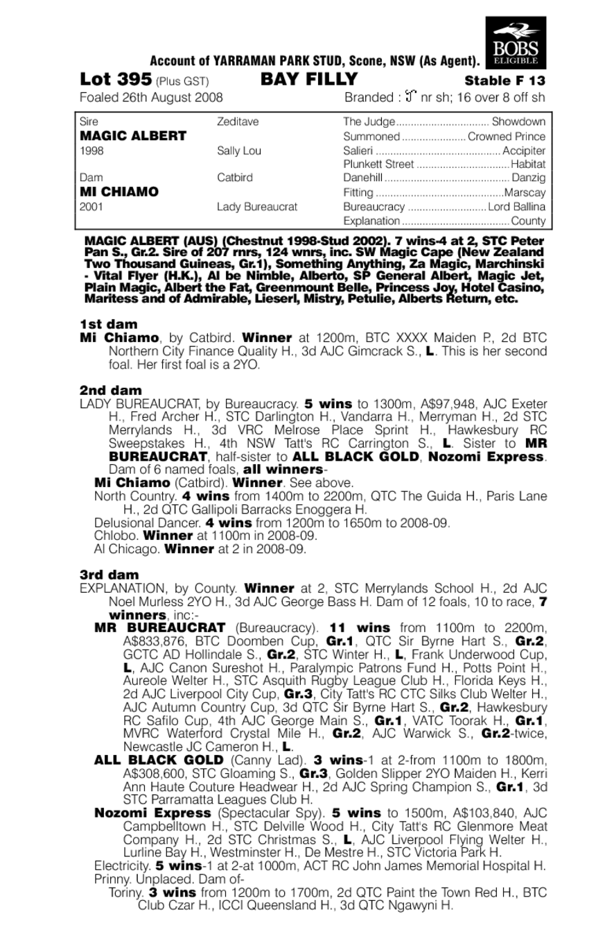 Ingham Magic - pedigree