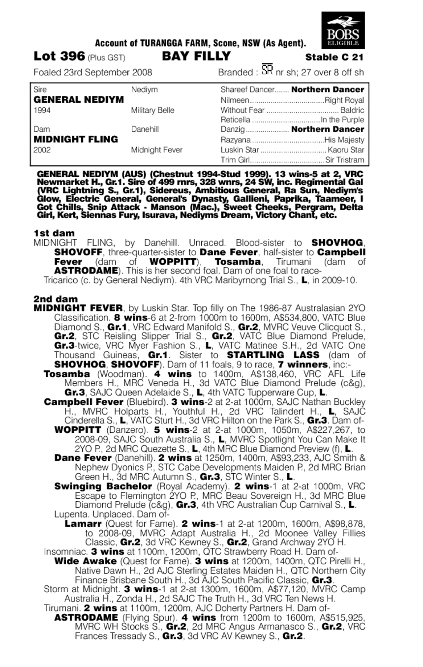 Midnight Minx - pedigree