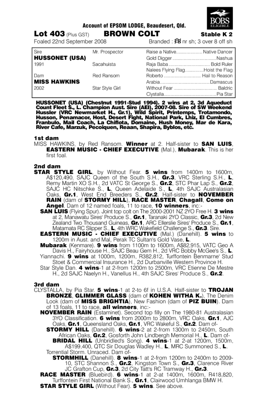 Hussonet (USA) / Miss Hawkins (AUS) - pedigree