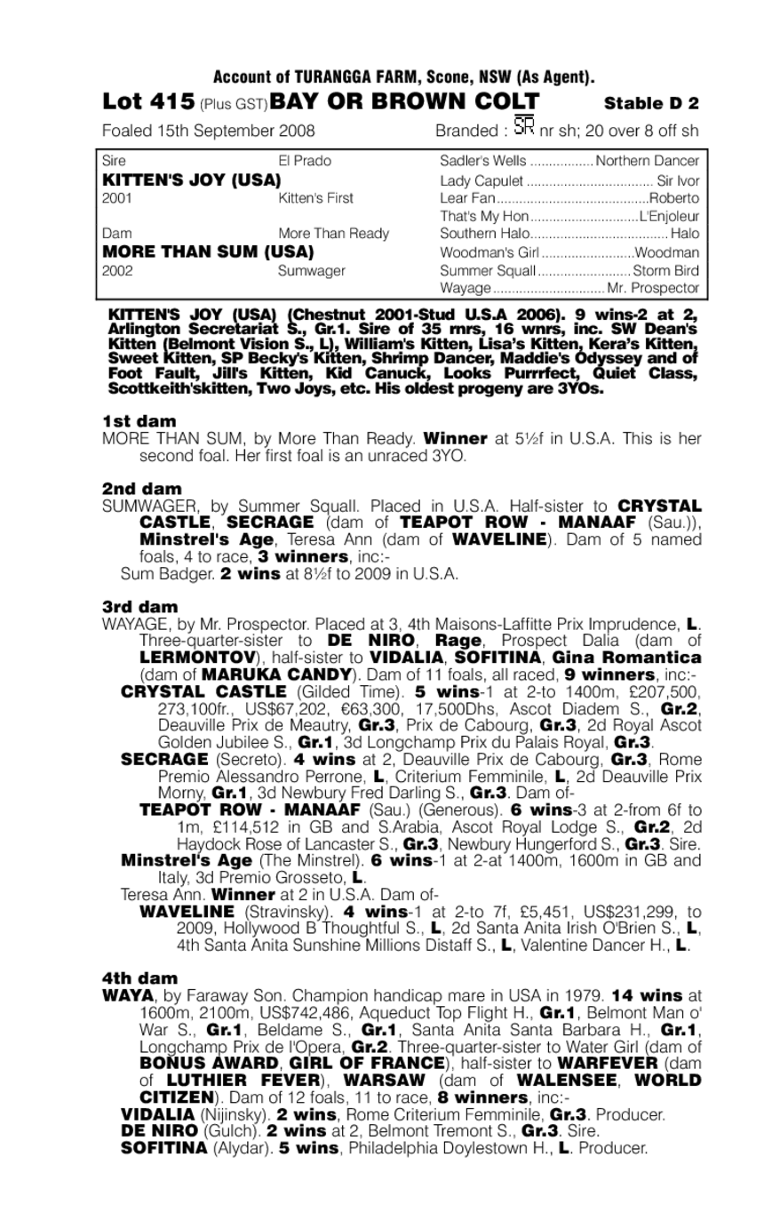 Cougar's Joy - pedigree