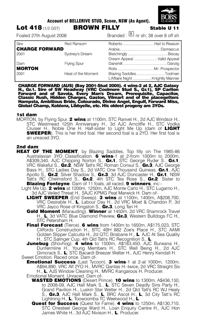 Back In Town - pedigree