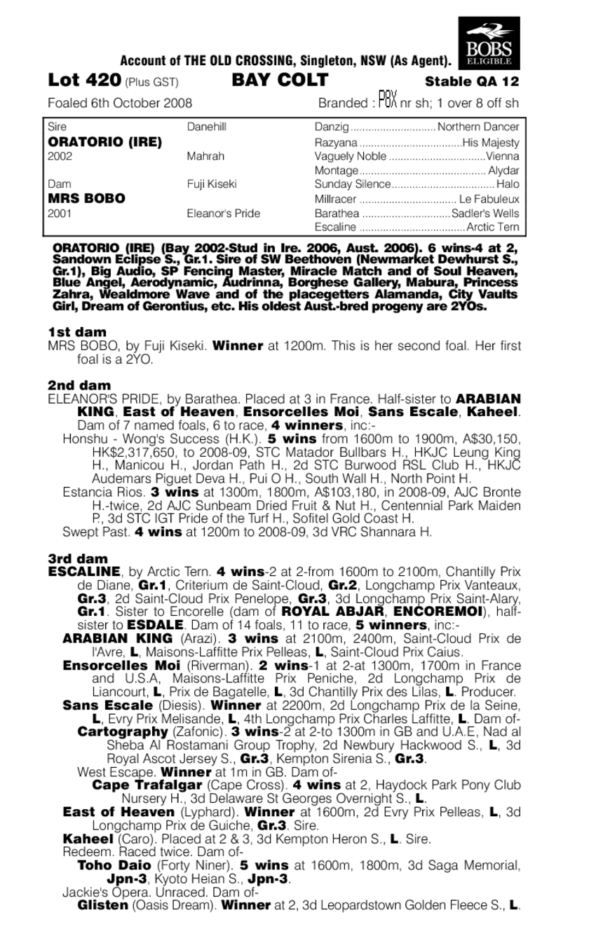 Wicked Game - pedigree