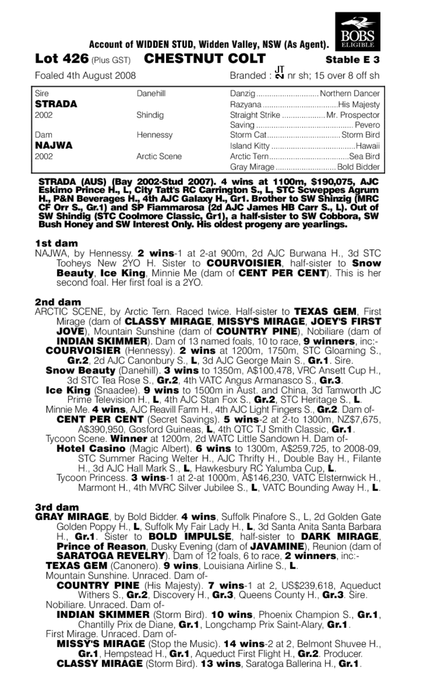 Stradamente - pedigree