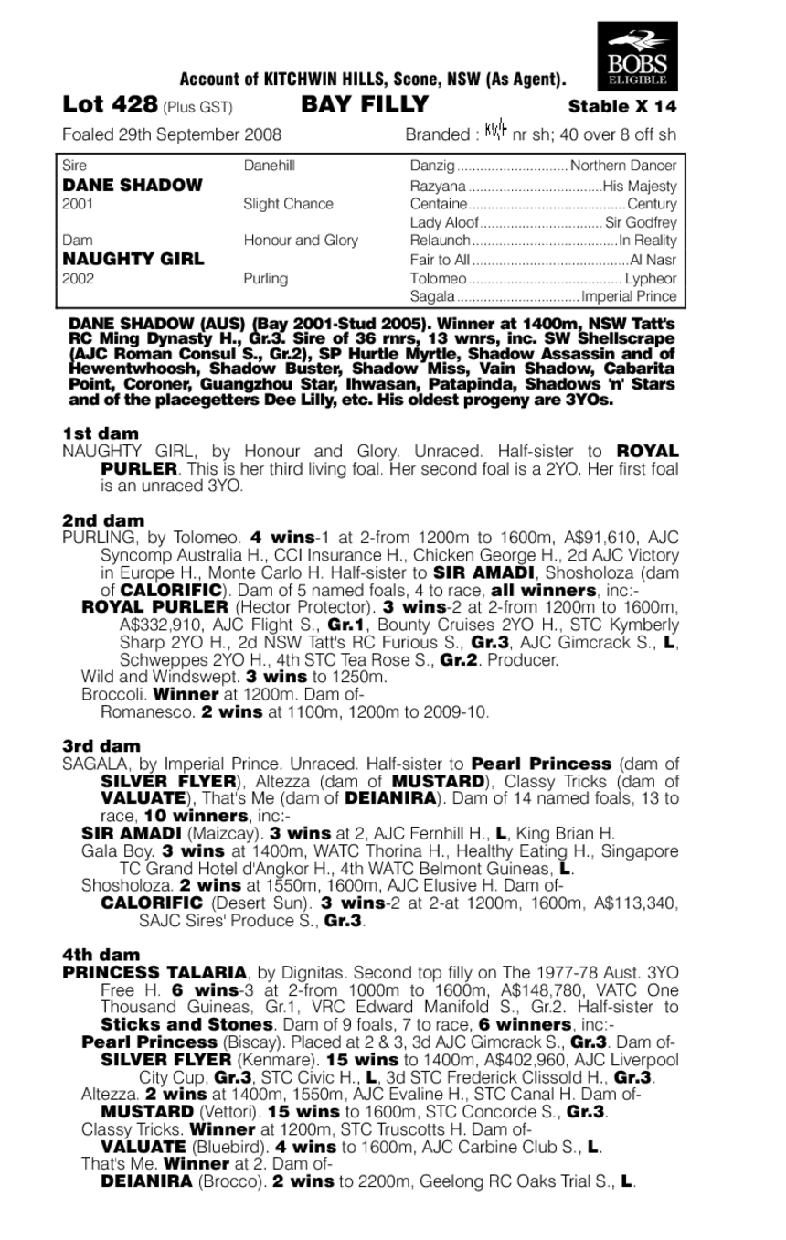 Fille Vilaine - pedigree