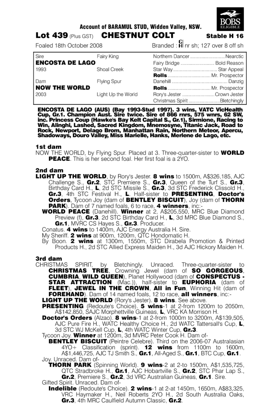 World Domination - pedigree