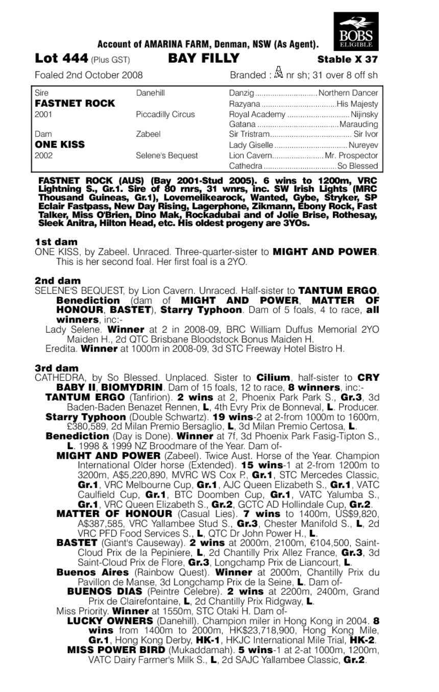 Timely Kiss - pedigree