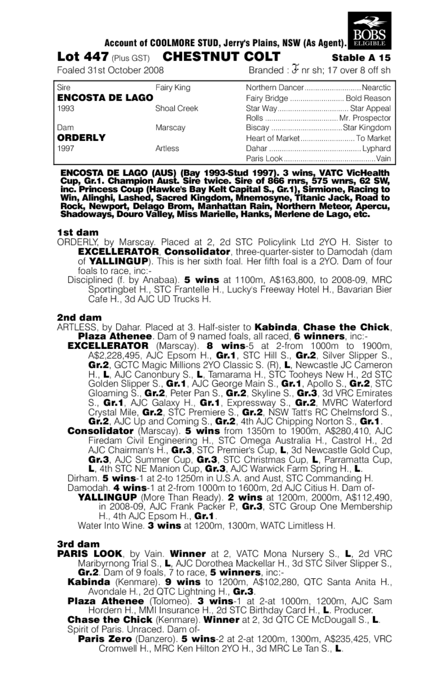 Did You Know - pedigree