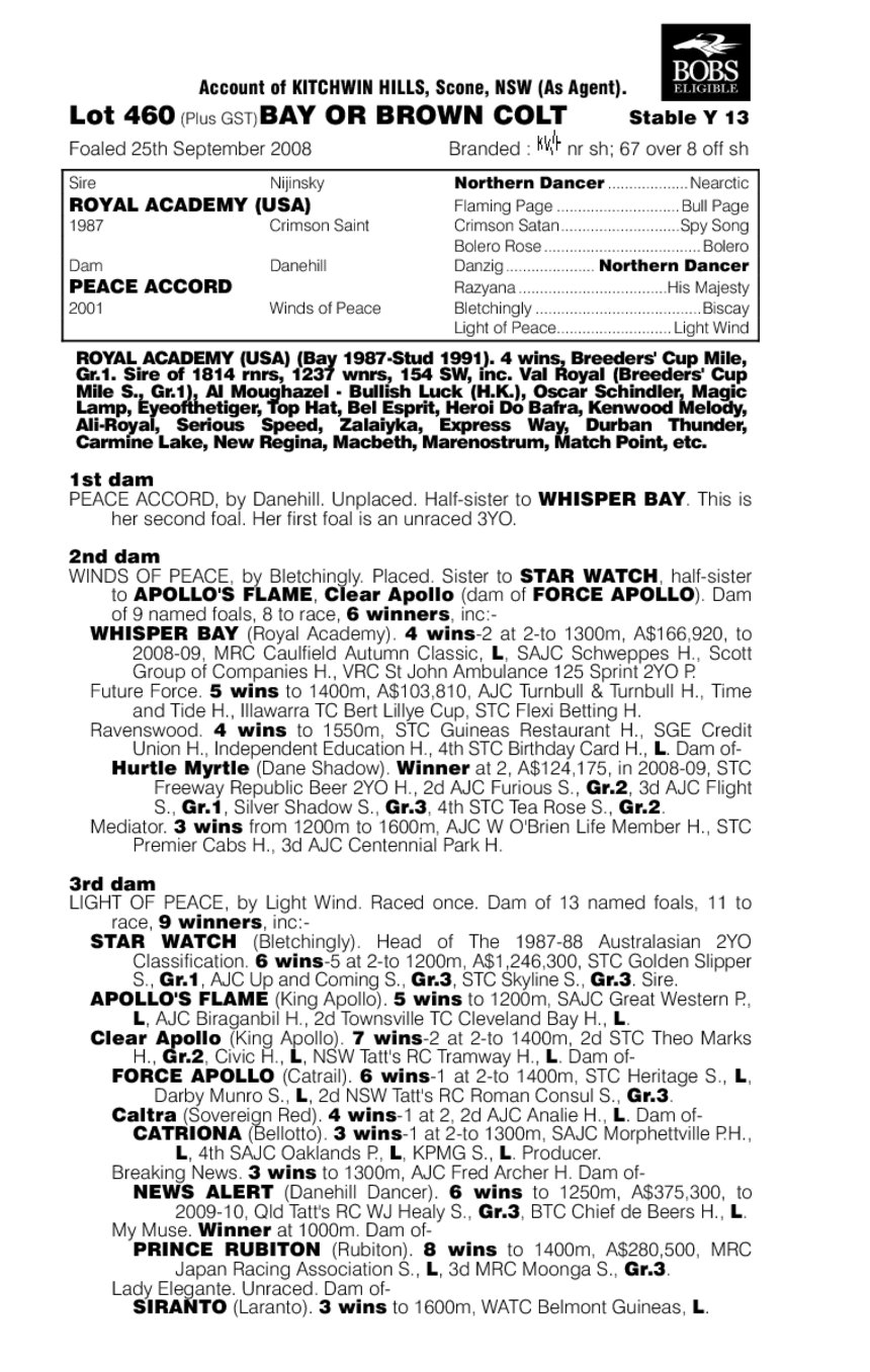 Royal Academy (USA) / Peace Accord (AUS) - pedigree