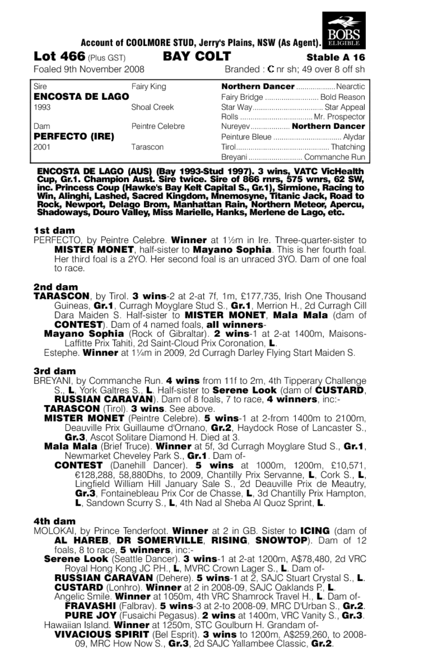 A Perfectionist - pedigree