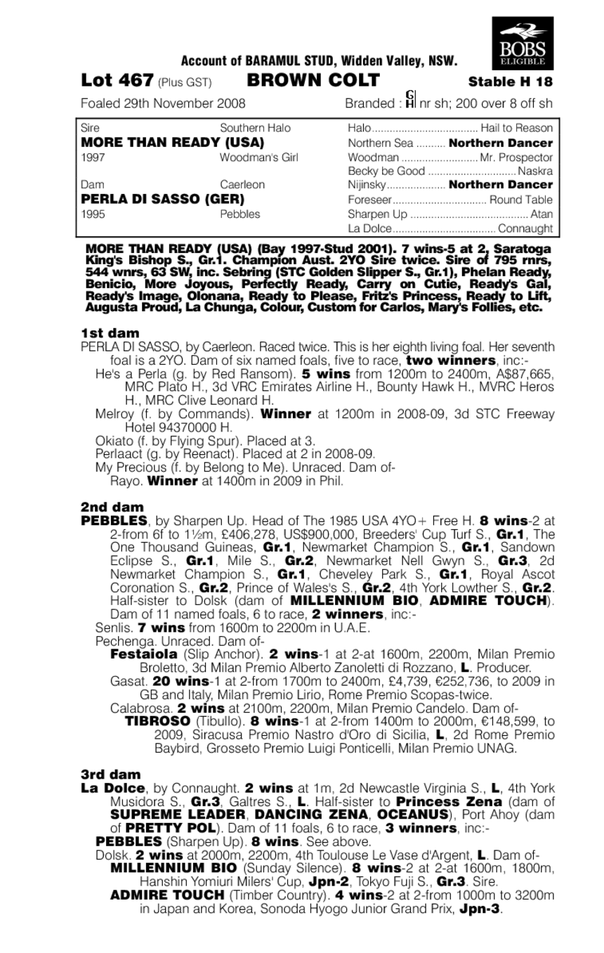 Born Ready - pedigree