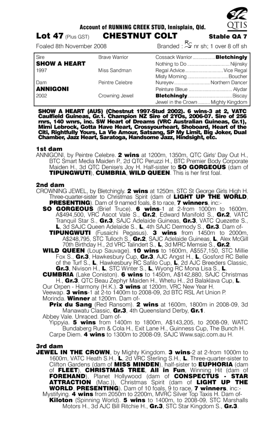 Show Artist - pedigree