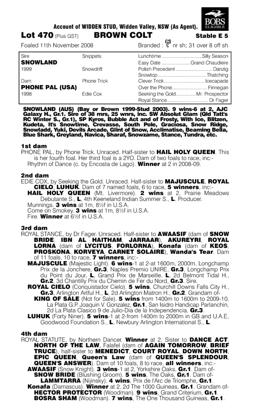 Chilly Reception - pedigree