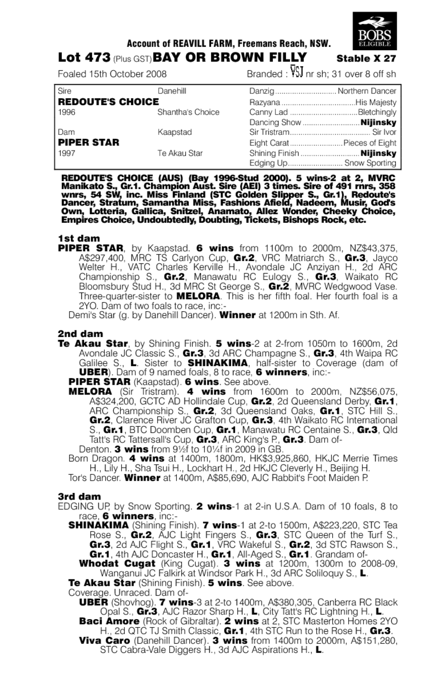 Real Attraction (AUS) - pedigree