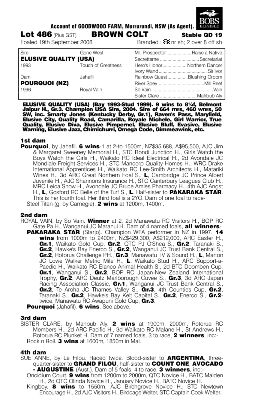 Best In Town - pedigree