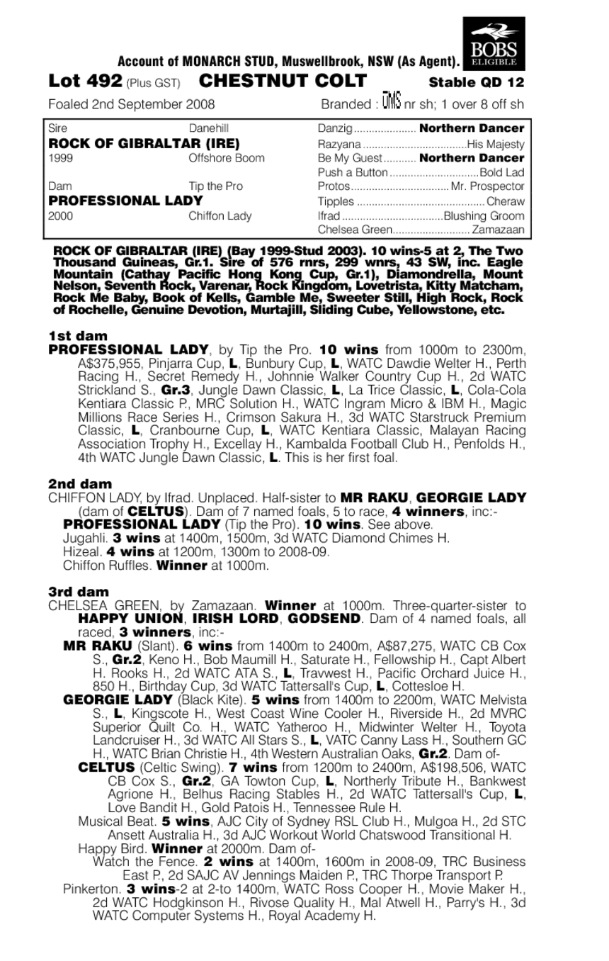 Rocky Two - pedigree