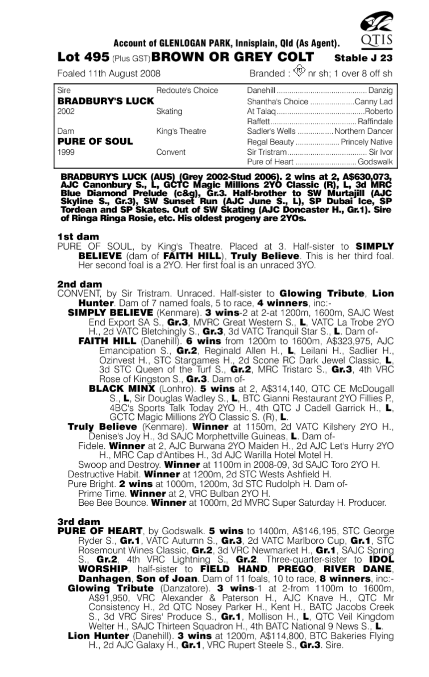 Run Forrest Run - pedigree