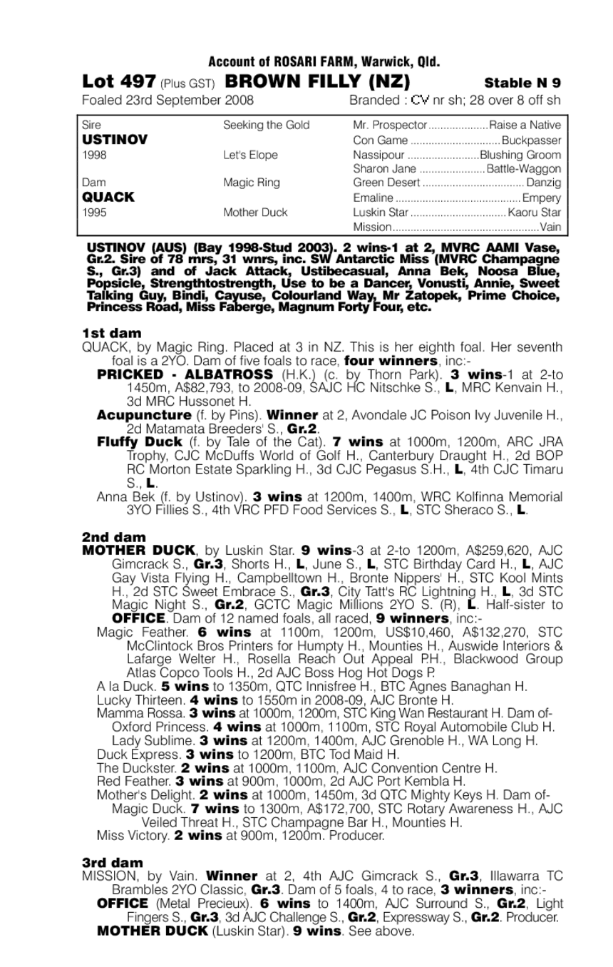 Quack It (NZ) - pedigree