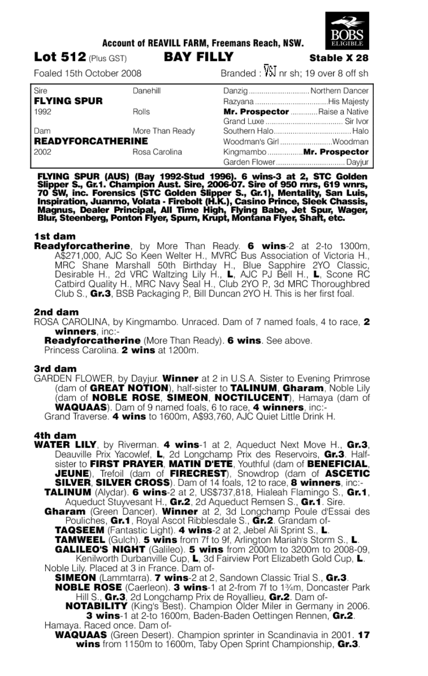 Pym's Lane (AUS) - pedigree