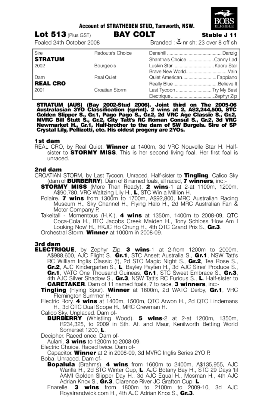 Quite Real - pedigree