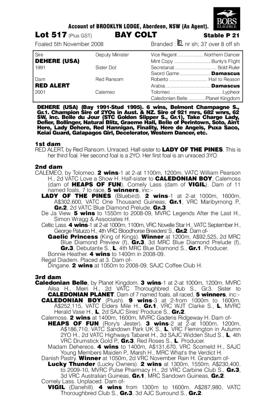 Here De Siren - pedigree