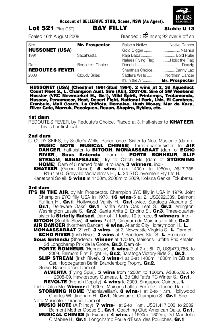 Hot Hussy - pedigree