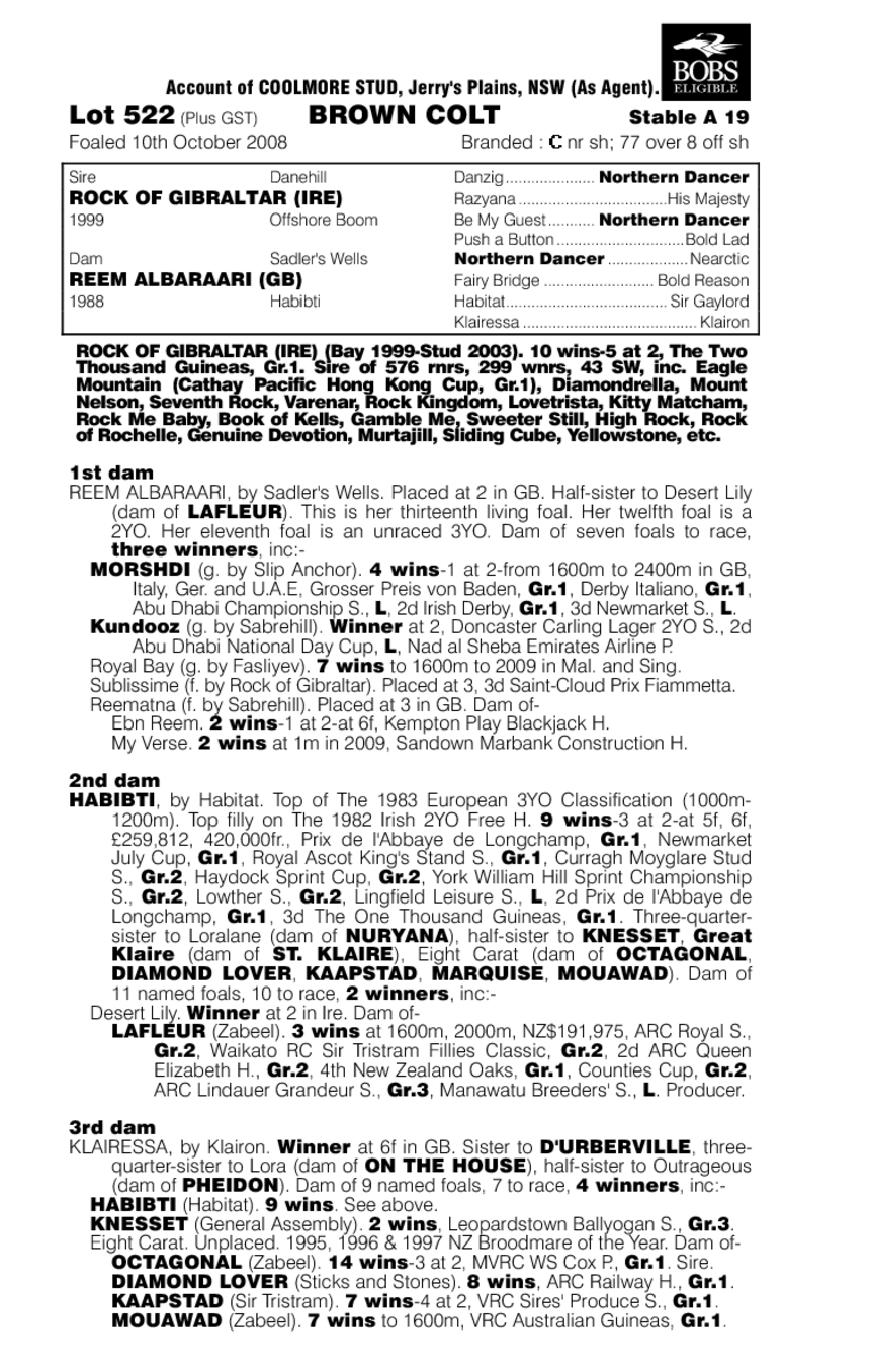 Mining Prospect - pedigree