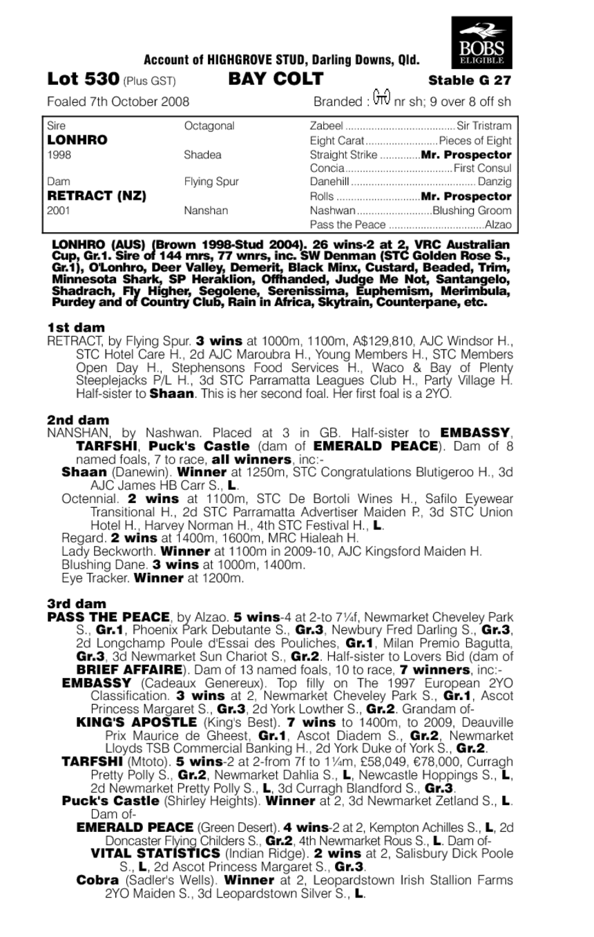 See You In Vegas - pedigree