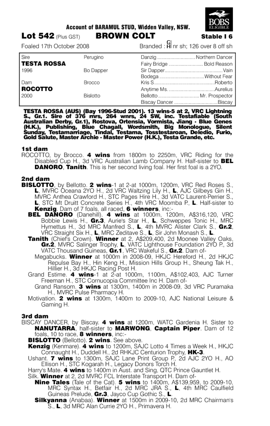 Cocky Raider - pedigree