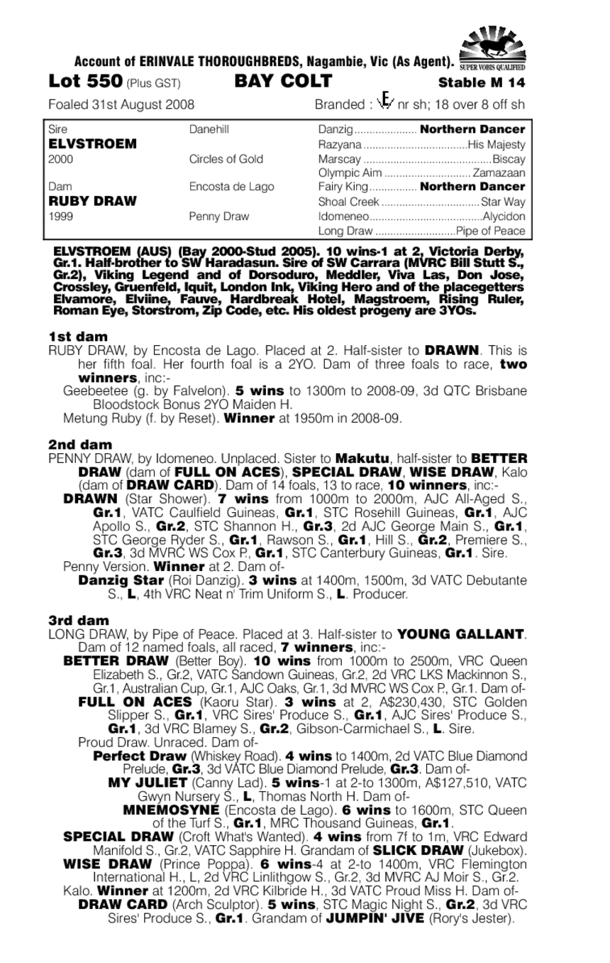 Sergeant Lincoln - pedigree