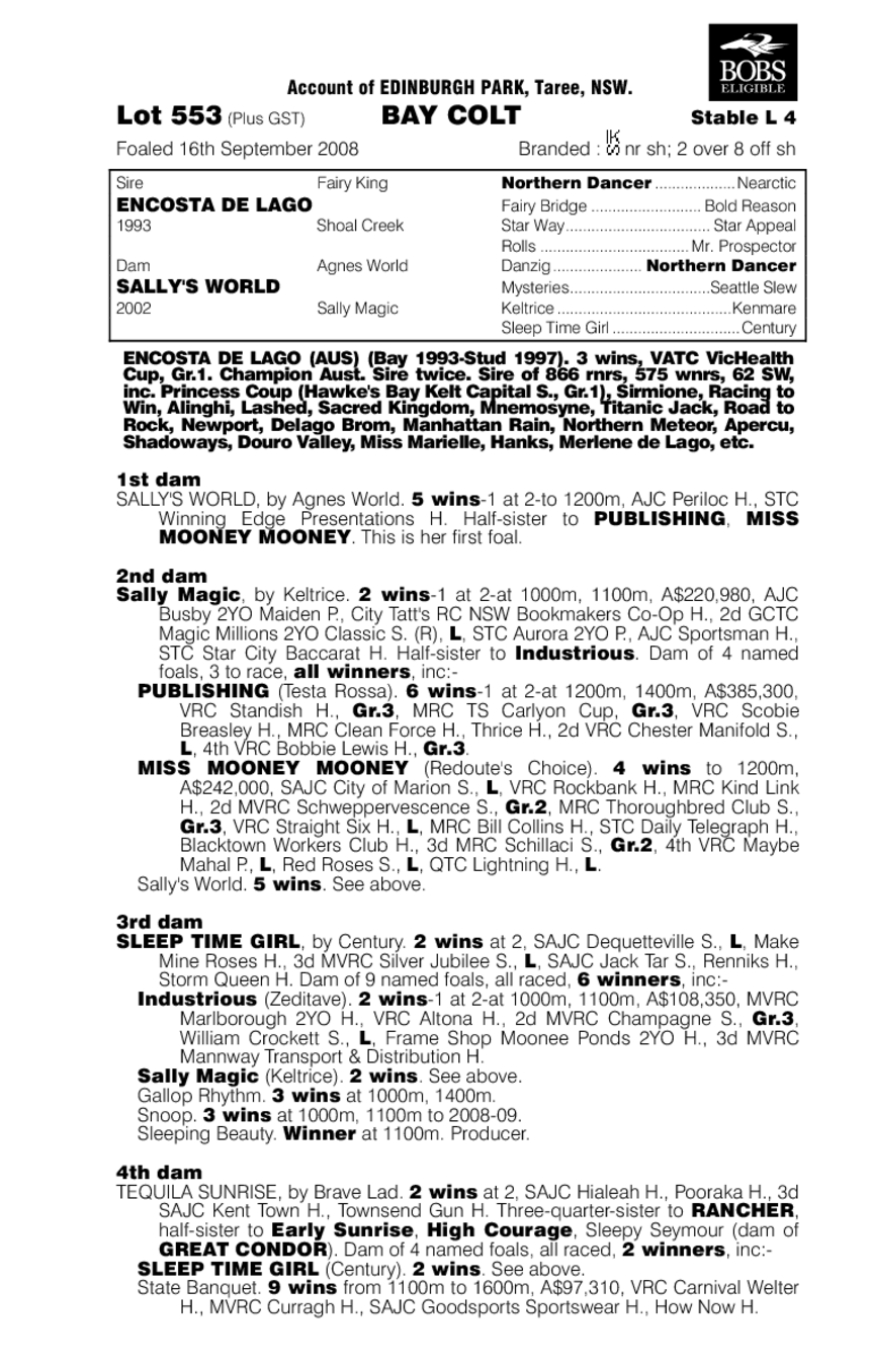 Pilot Error - pedigree