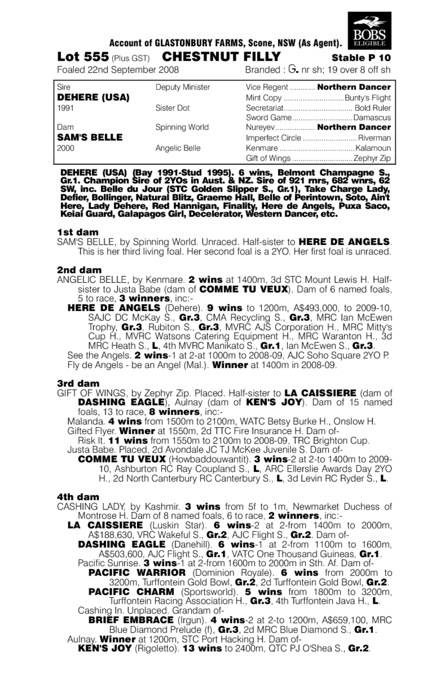 Miss Stellabelle - pedigree