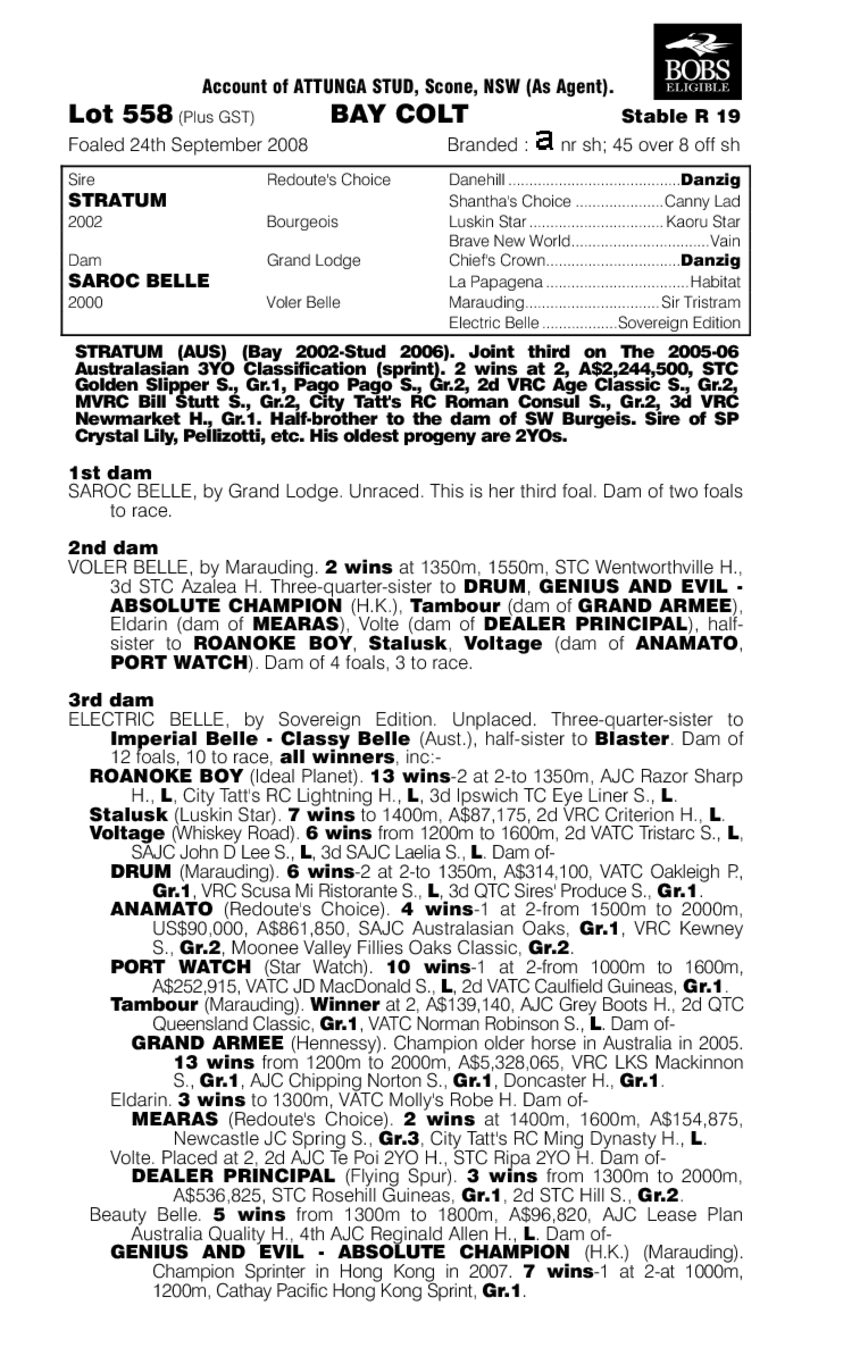 Our Alchemist - pedigree