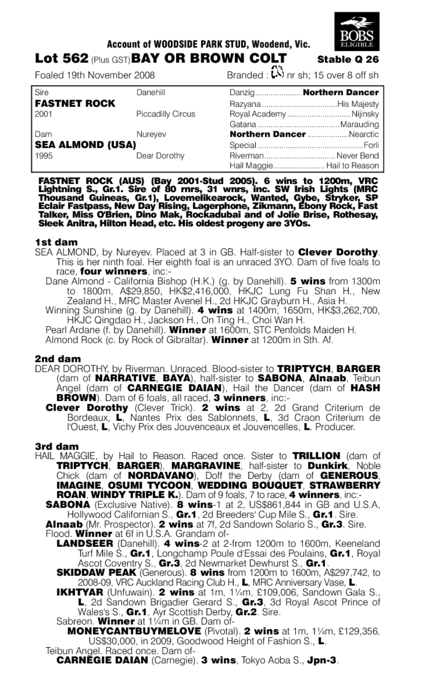 Chieftain Jack - pedigree