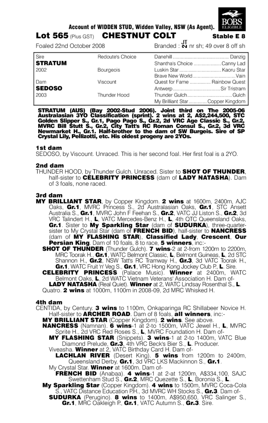 Depot Beach - pedigree