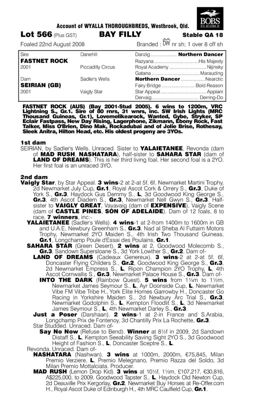 Serious Rock - pedigree