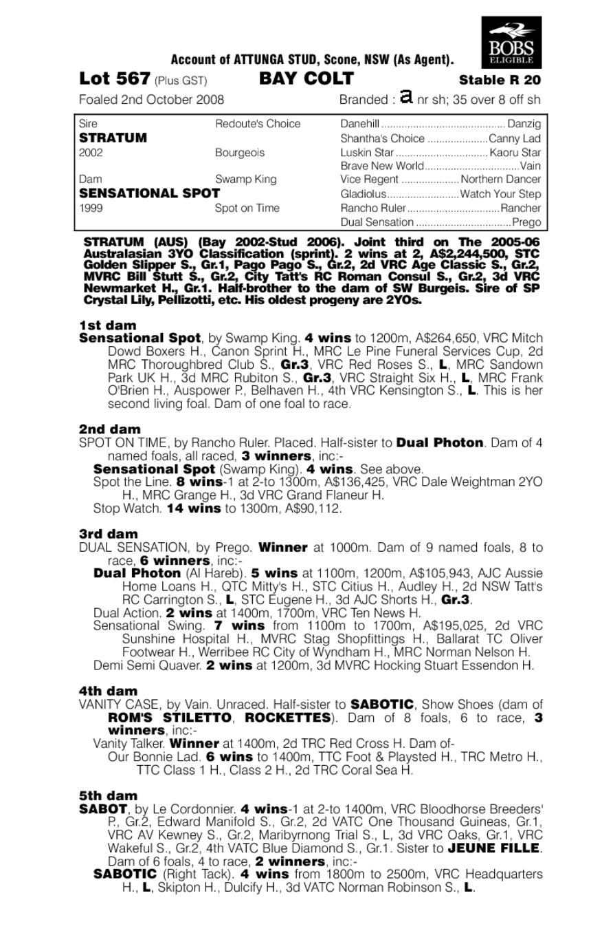 Stratum (AUS) / Sensational Spot (AUS) - pedigree