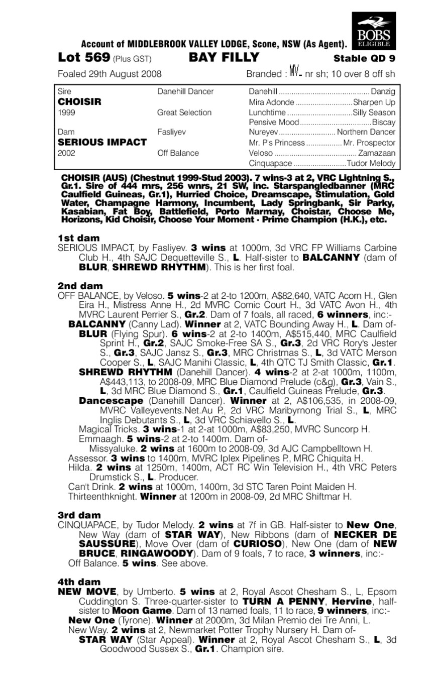 Ell's Impact - pedigree