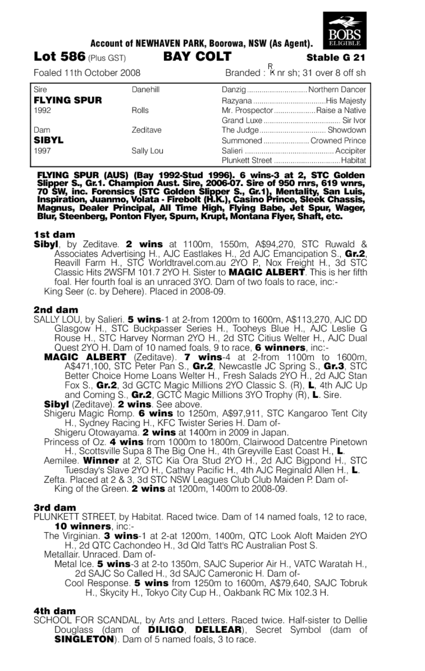 Flying Spur (AUS) / Sibyl (AUS) - pedigree