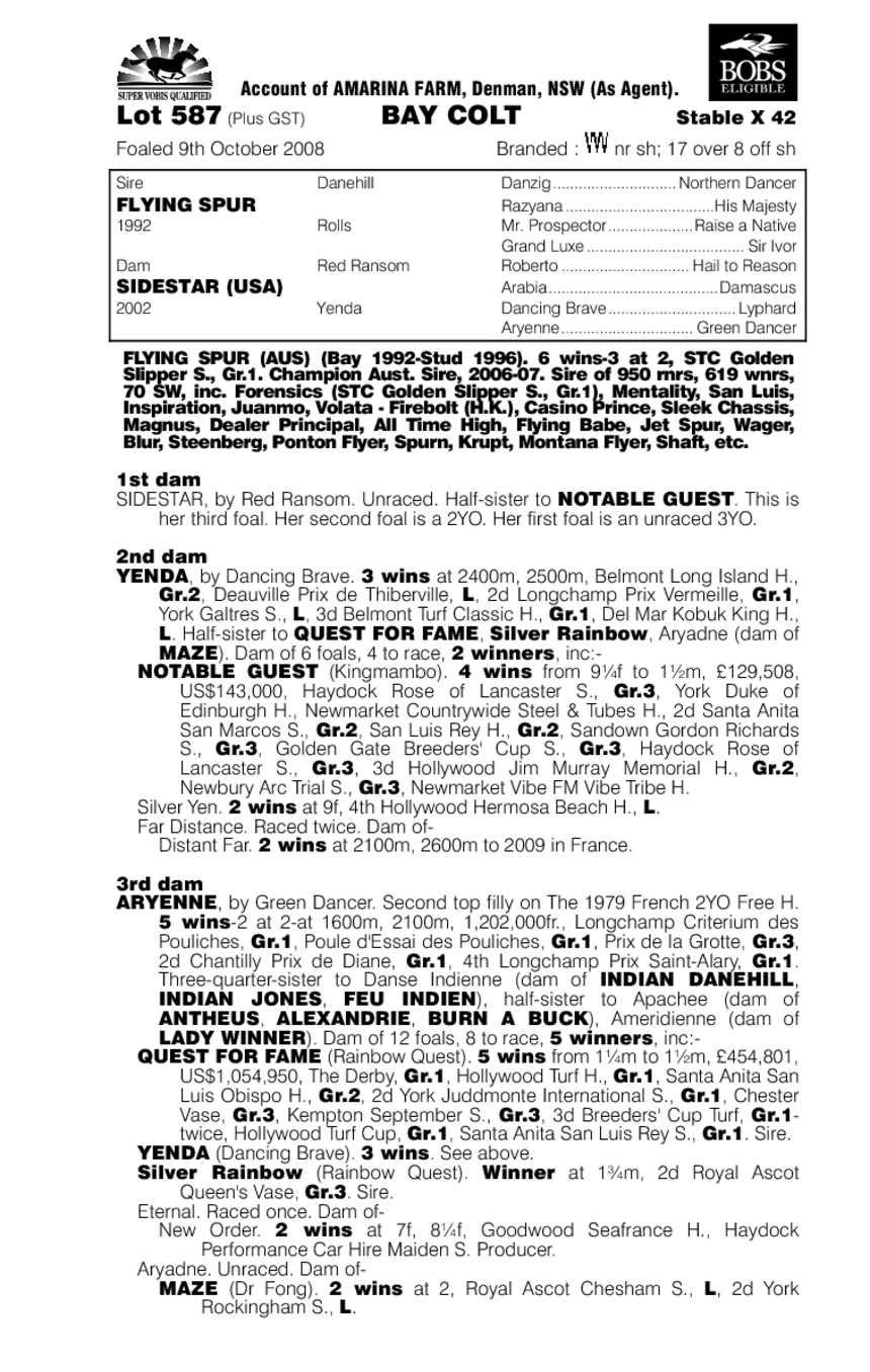 Banagher Boy - pedigree