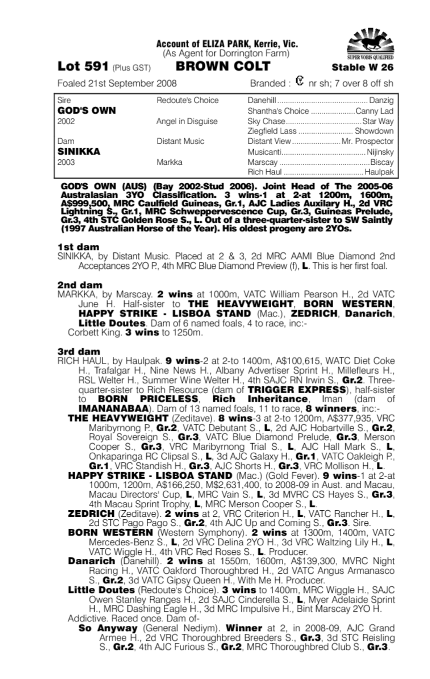 Super Ahead - pedigree