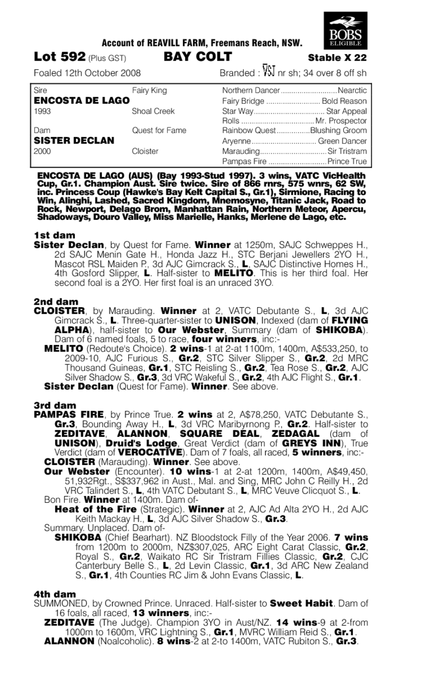 Resort Habit - pedigree