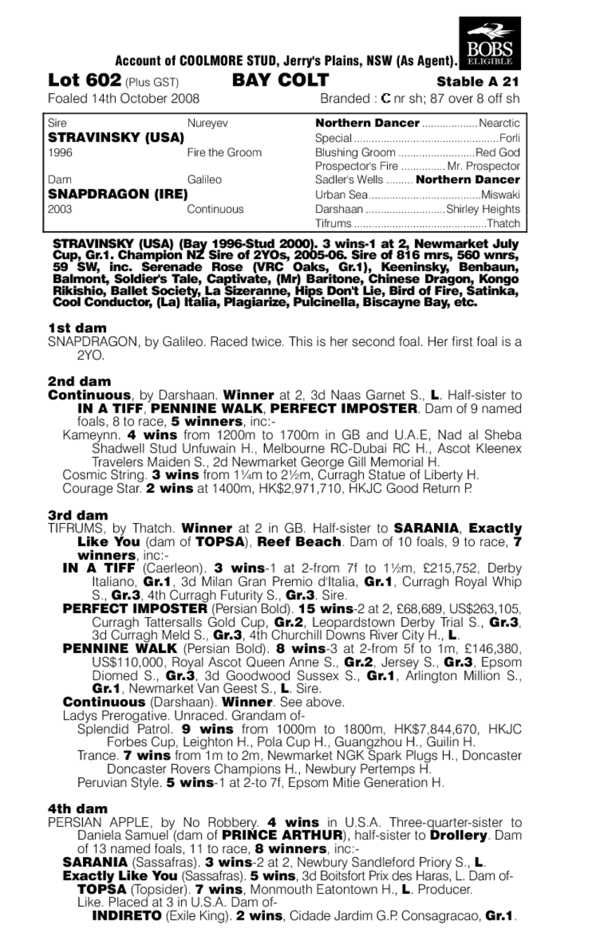 Texan Takeover - pedigree